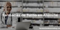 Farmacias de Turno en Aluminé