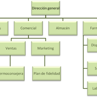 Descubre la estructura interna de una farmacia y cómo está organizada para brindarte el mejor servicio