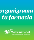 Guía práctica: Cómo elaborar un organigrama efectivo para tu farmacia